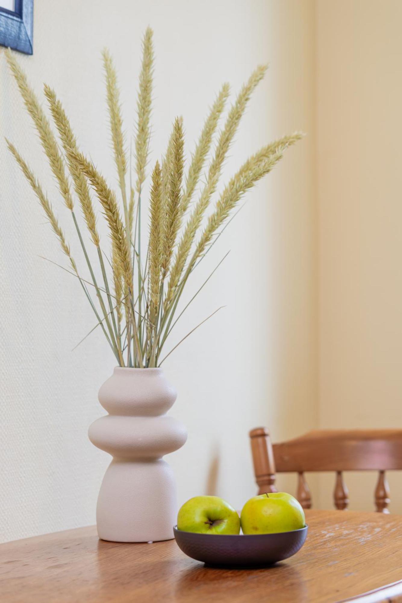 Family Inn Cottage With Terrace بالانغا المظهر الخارجي الصورة